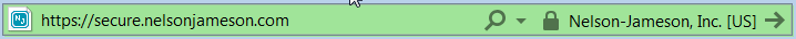 IE 11 Security
