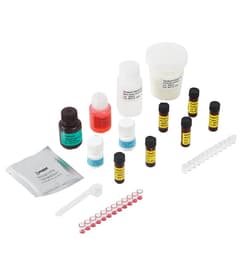 Neogen® Veratox® For Gluten