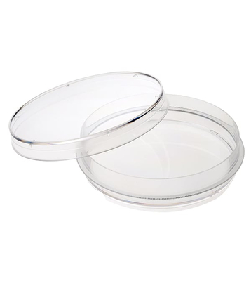 Non-Treated Petri Dishes