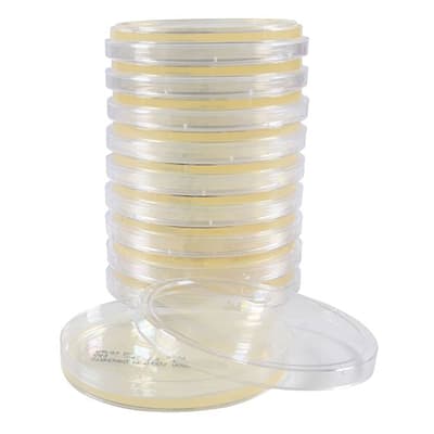 Hardy Diagnostics™ Plated Media, Standard Methods Agar (SMA), 100 mm x 15 mm, 10/Pack