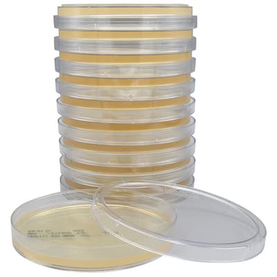 Hardy Diagnostics™ Tryptic Soy Agar, USP