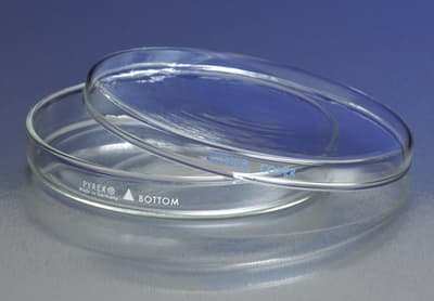 PYREX® Glass Petri Dish