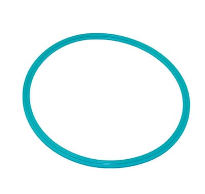 Clamp Gasket