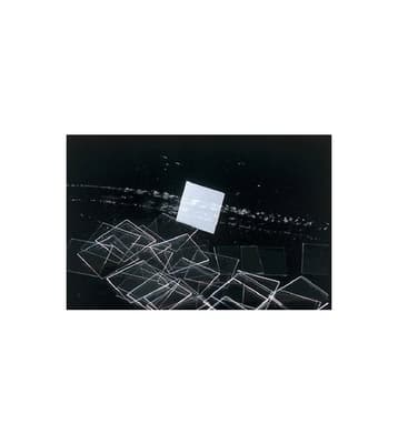 Thermo Scientific Gold Seal® Cover Glass
