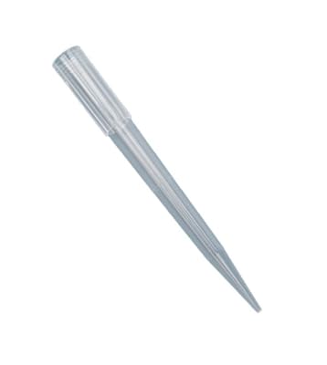 Pipette Tips