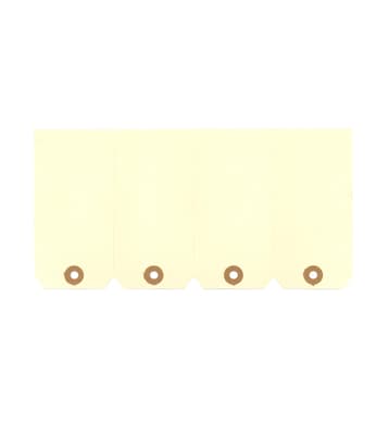 Washup Tags