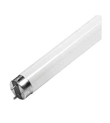 Shatterproof Flourescent Bulb