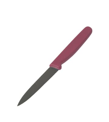 Paring Knife, Color-Coded, Metal Detectable, Tempered Stainless Steel Blade, 10/Pack