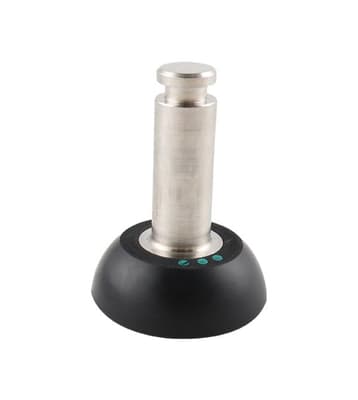 Plug Assembly For Air Blow Check Valve