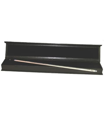 Mercury Lab Thermometer