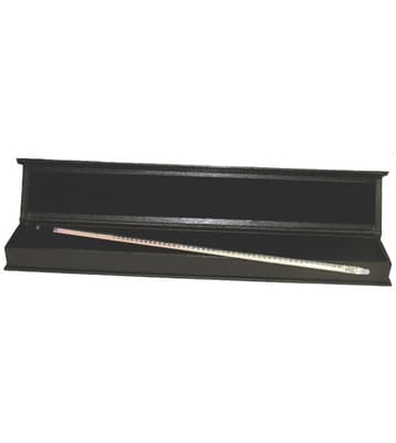 Mercury Lab Thermometer