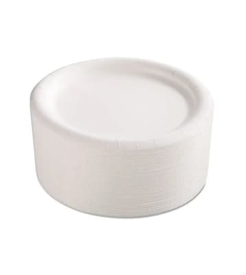 Premium Paper Plates, Coated, Heavyweight, 500/Case