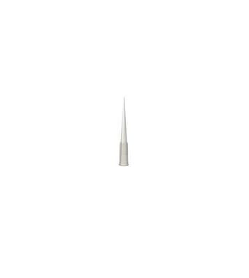 Micropipette Tips