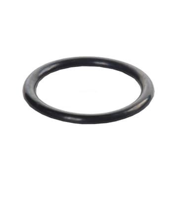 Head Gasket O-Ring