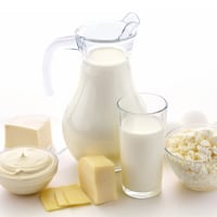 Dairy Enzymes