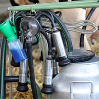 Farm Cleaning Chemicals