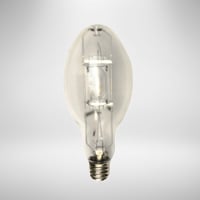 Non-Shatterproof Bulbs