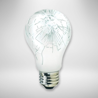 Shatterproof Incandescent Bulbs