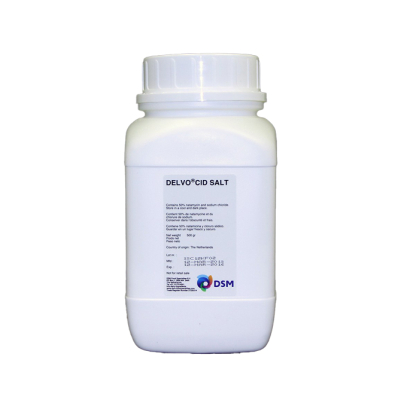 dsm-firmenich Delvo®Cid Salt, Natamycin Natural Food Preservative, 500 gram Bottle, 1/EA