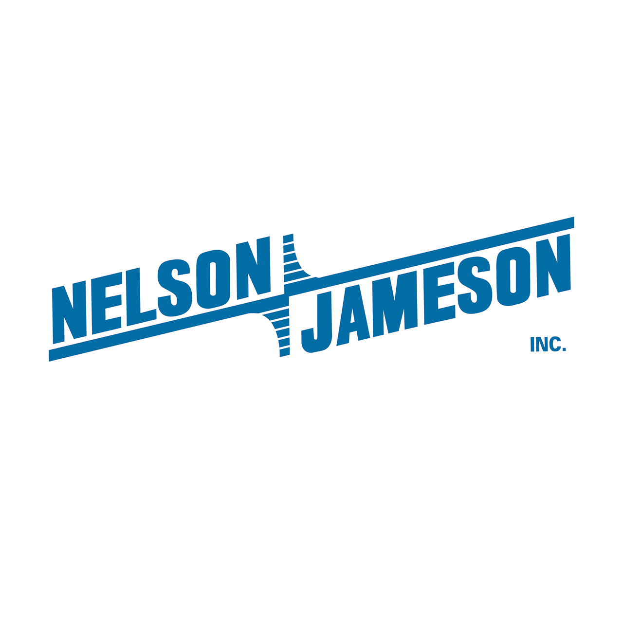 Nelson-Jameson Chlorinated Alkaline Test Kit