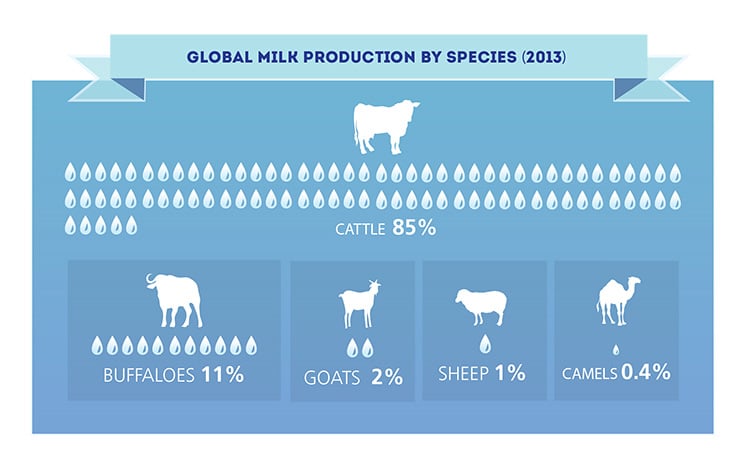 FAO-Infographic-milk-facts-en