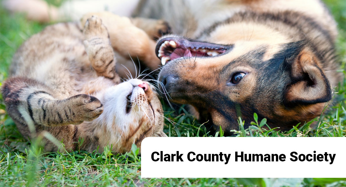 Clark County Humane Society