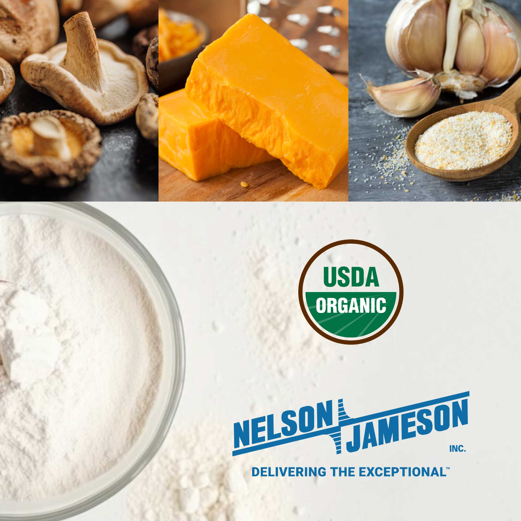Food Processing Distributor Nelson-Jameson Receives Organic Certification