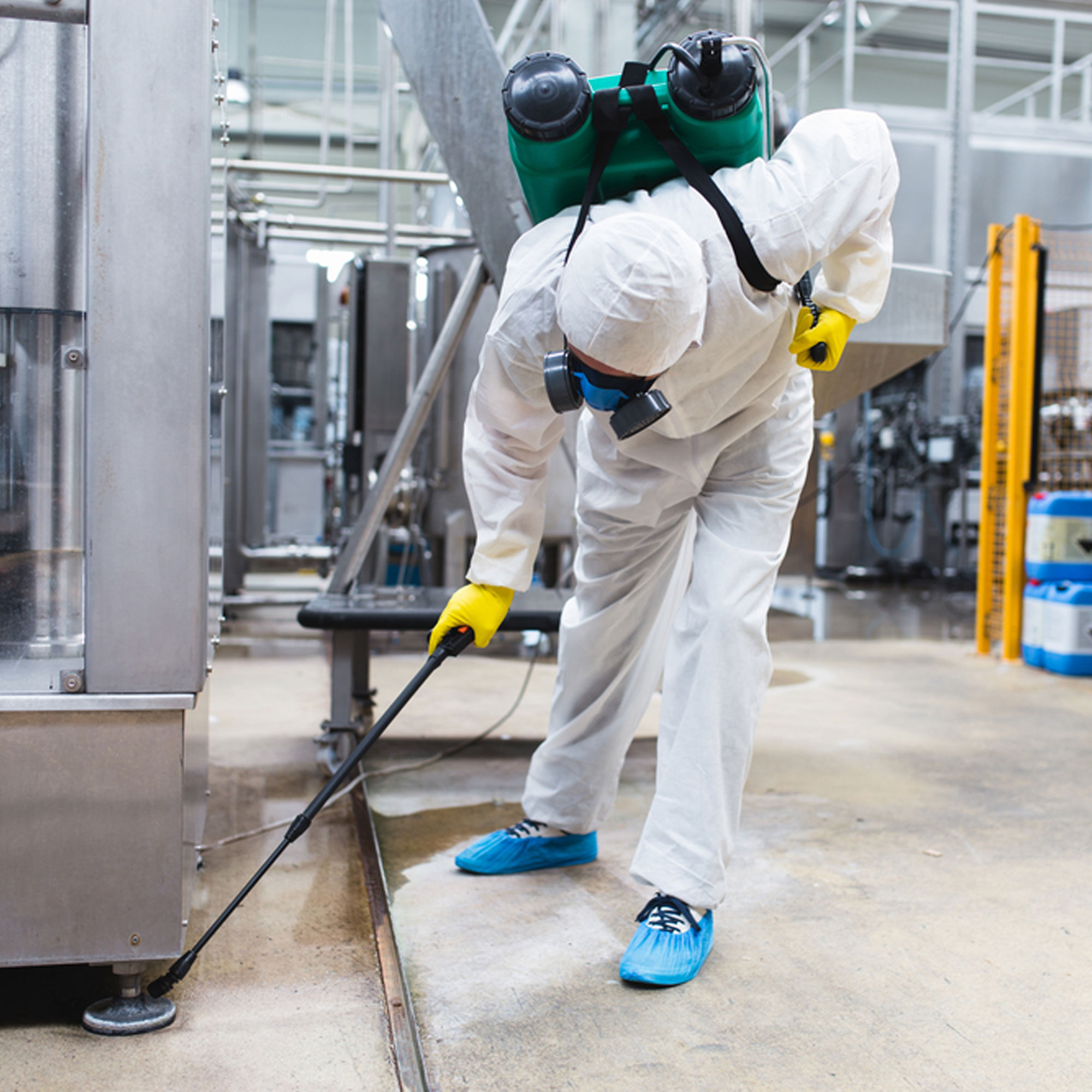 The Importance of Pest Control in Food Facilities