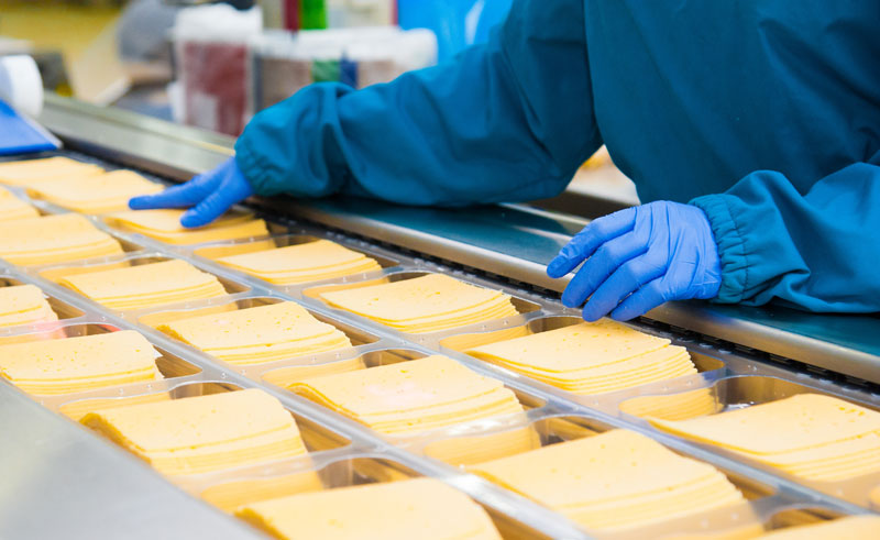 dairy solutions cheese slices food processing facility