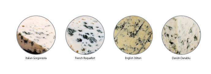 Blue Cheese Cultures